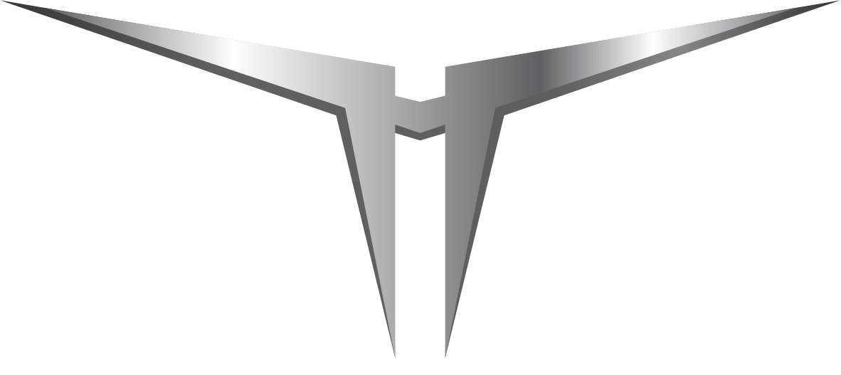 Tavangar Holding logo png
